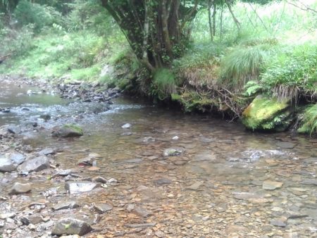 渓流ベイトフィネス第２回戦